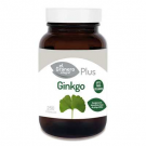 Ginkgo Biloba